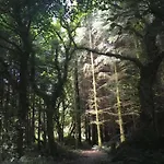 Alderlane Сasa de vacaciones Wexford