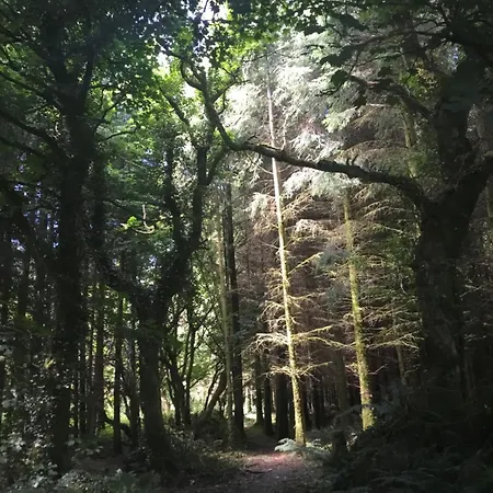 Alderlane Prázdninový dům Wexford