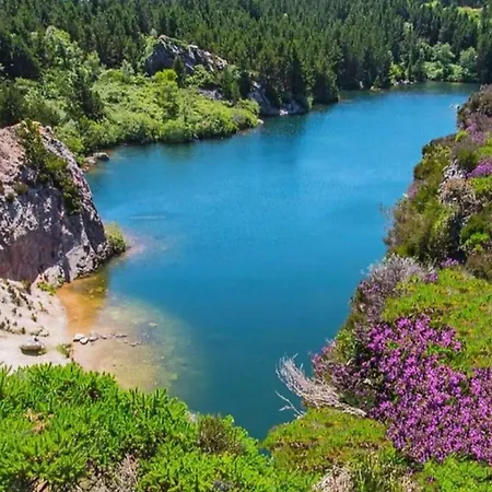 Prázdninový dům Alderlane Wexford