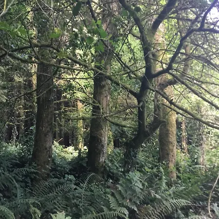 Alderlane * ويكسفورد