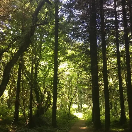 بيت للعطل Alderlane