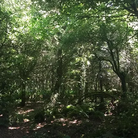 Alderlane ويكسفورد