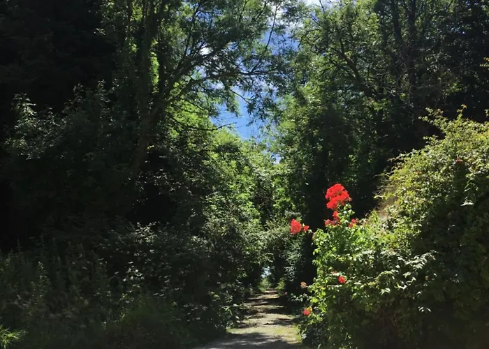 度假居 Alderlane 韦克斯福德